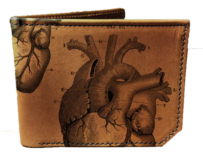 Anatomical Heart Billfold