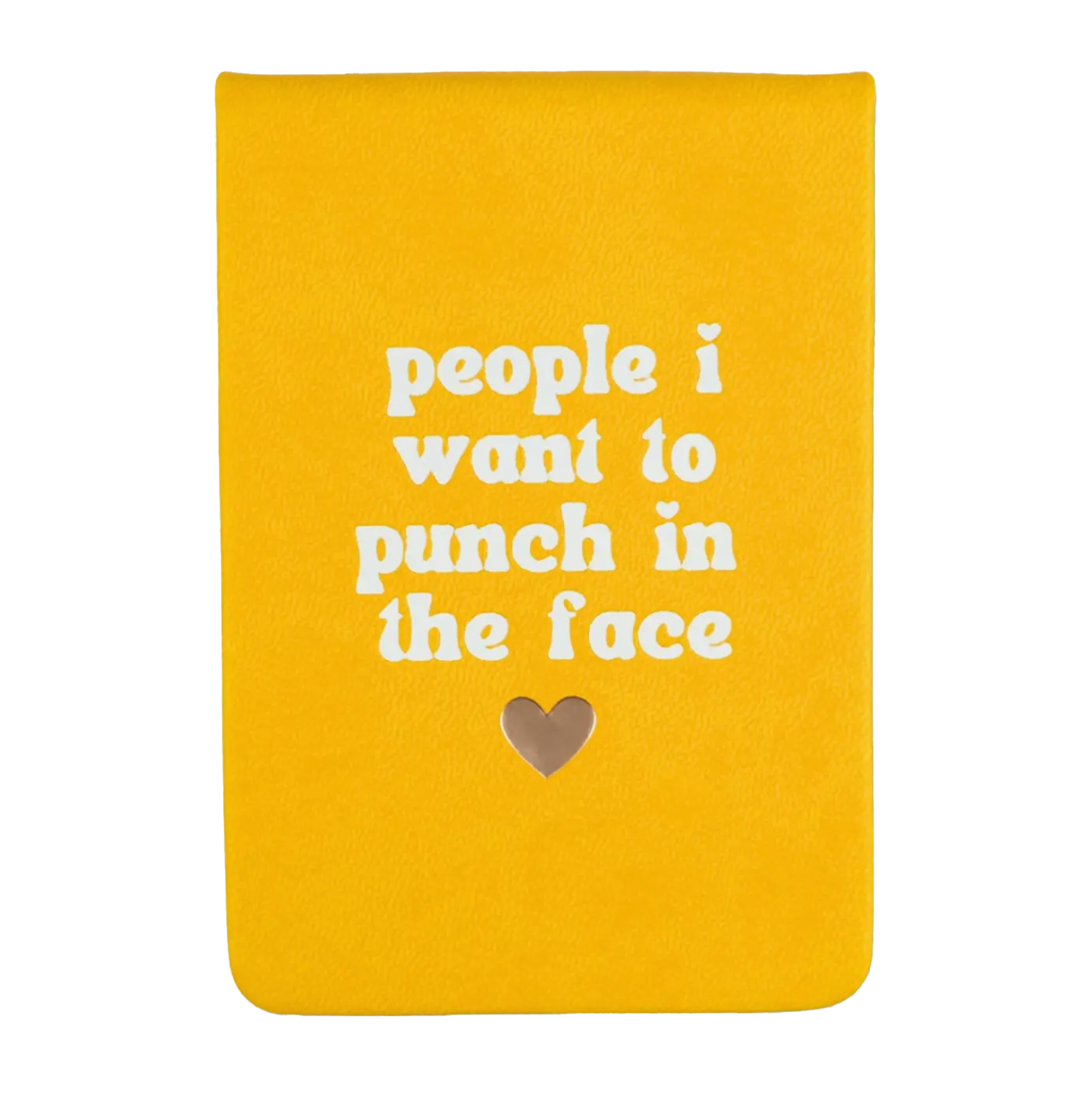 Punch in the Face journal