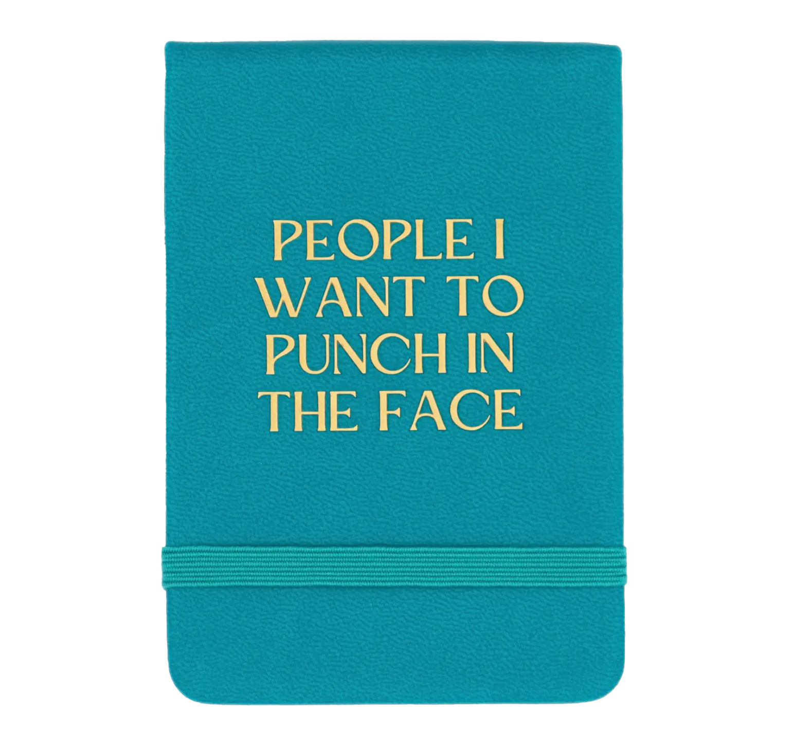 Punch in the Face journal