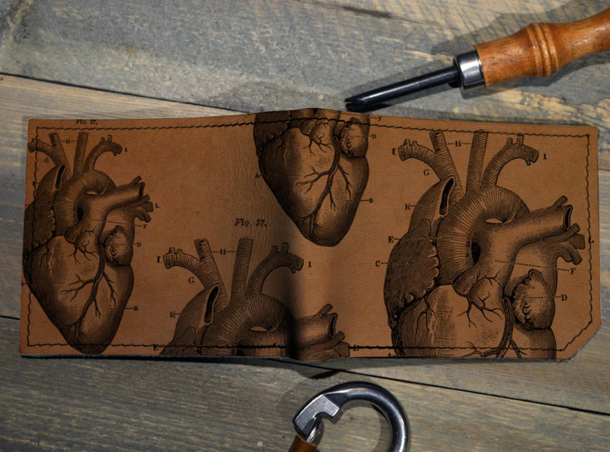 Anatomical Heart Billfold