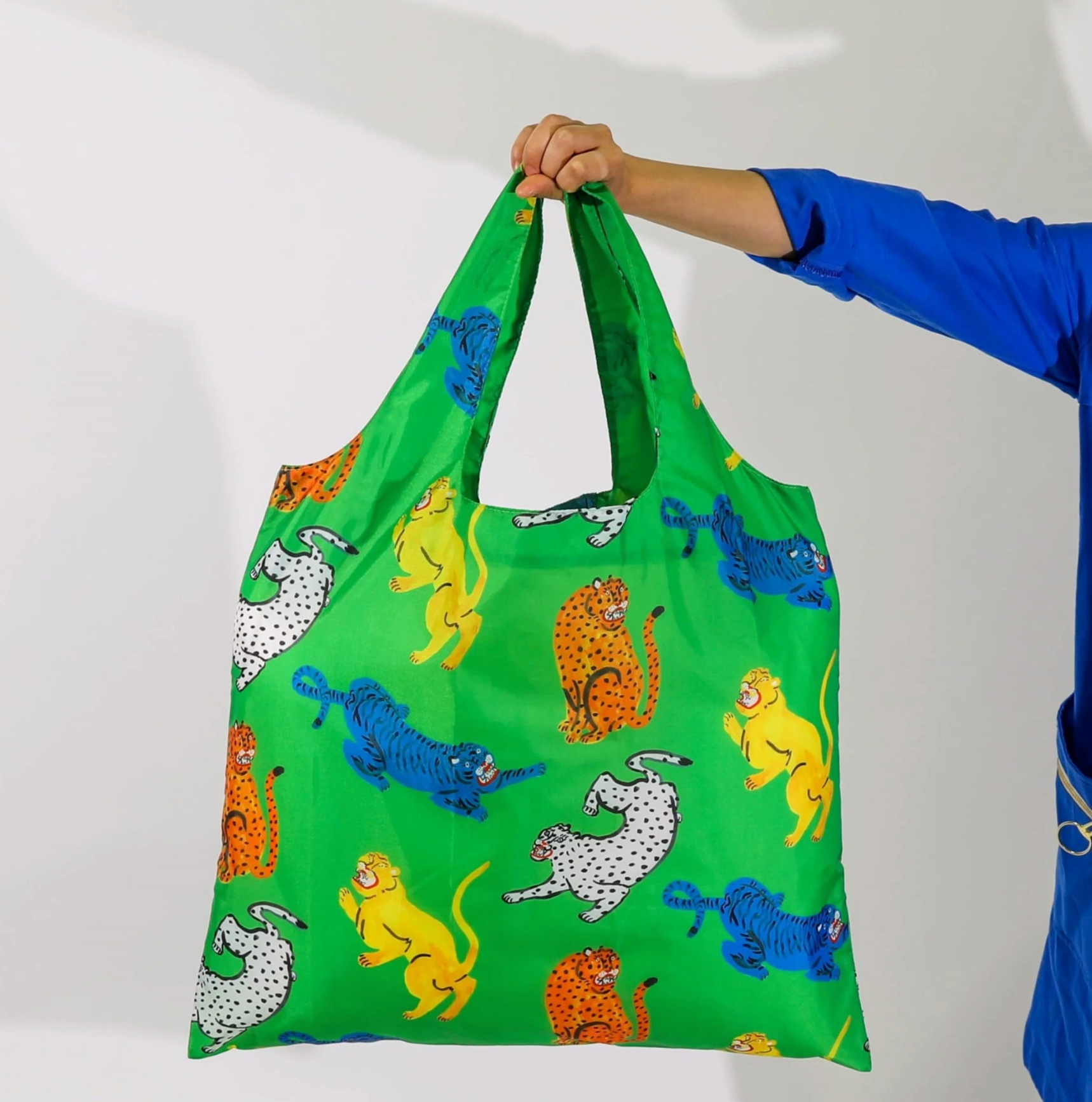 Wild Cats Art Sack