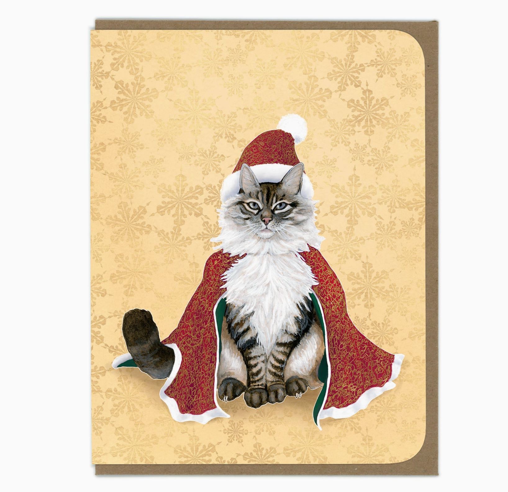 Fluffy Santa Cat Card