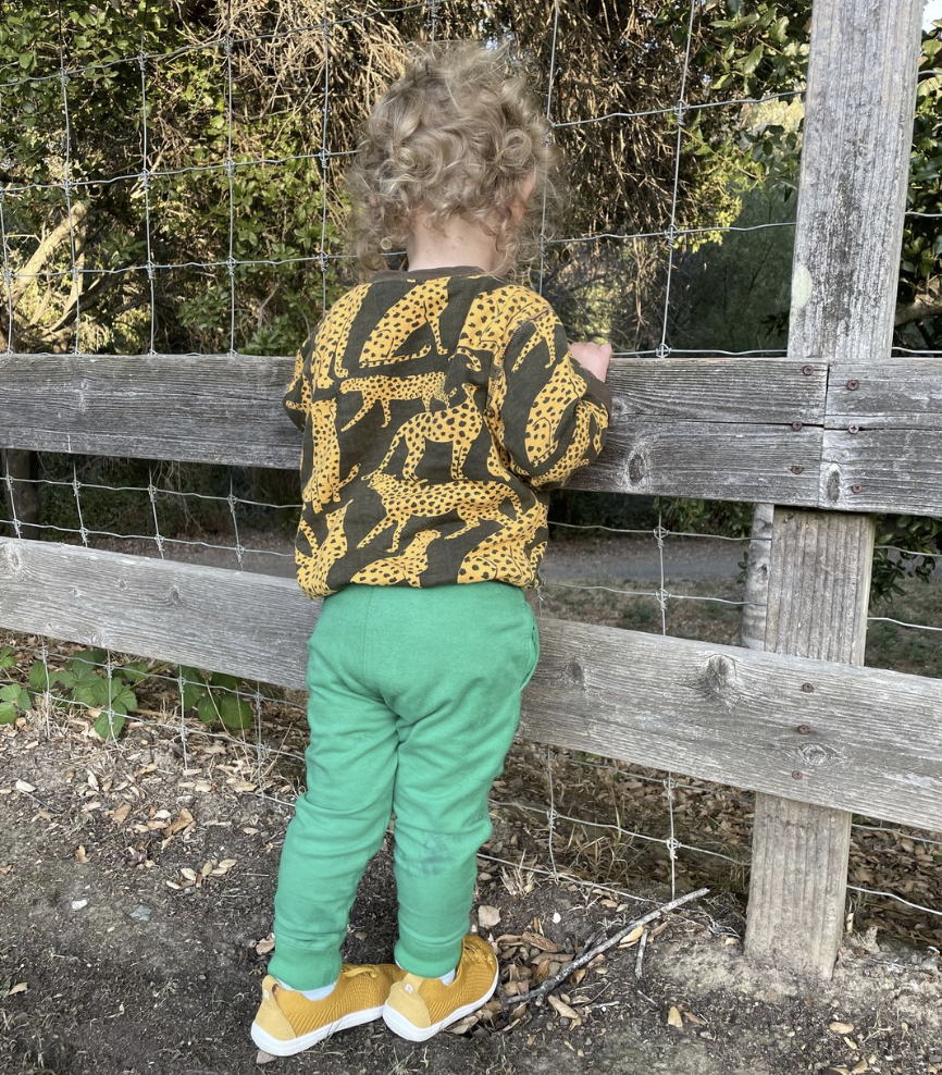 Cheetah Sweatshirt - Toddler