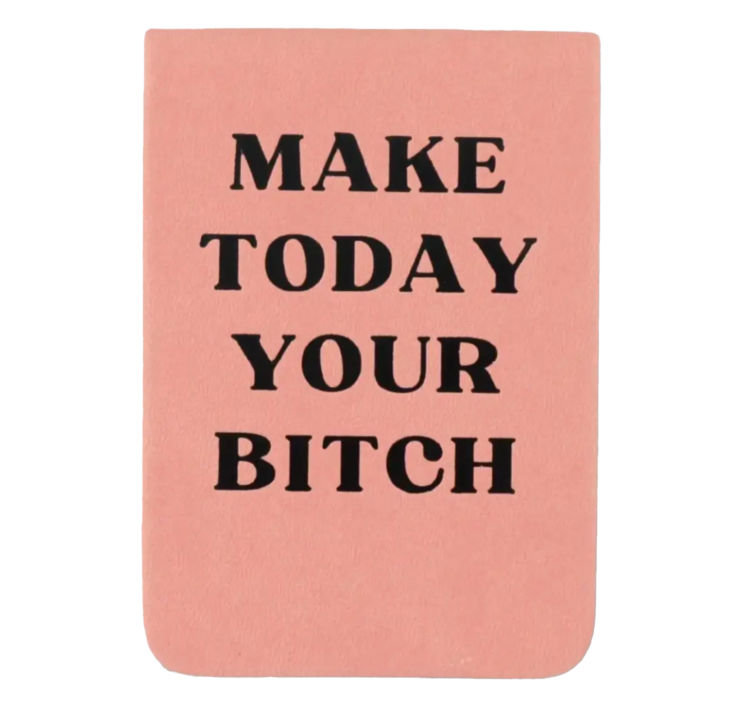 Make Today Your Bitch journal