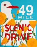 49 Mile Scenic Drive Poppy Print