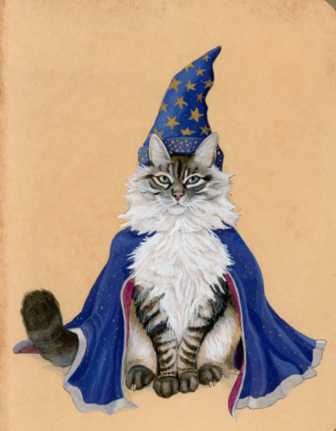 Wizard Kitty Art print