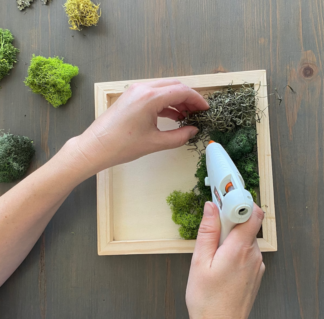 Moss DIY Kit - Button